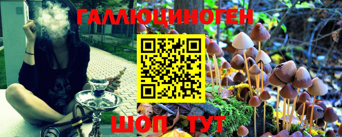Псилоцибиновые грибы ЛСД Курчалой